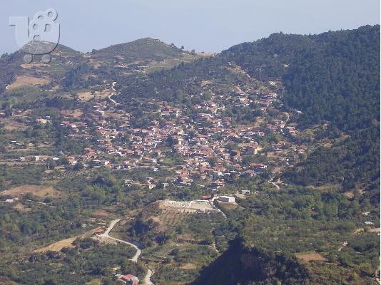 PoulaTo: ΟΙΚΟΠΕΔΑ ΚΑΤΑΠΛΗΚΤΙΚΑ - ΤΙΜΕΣ ΕΥΚΑΙΡΙΑΣ